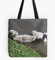 Two Fluffy Babies Tote Bag