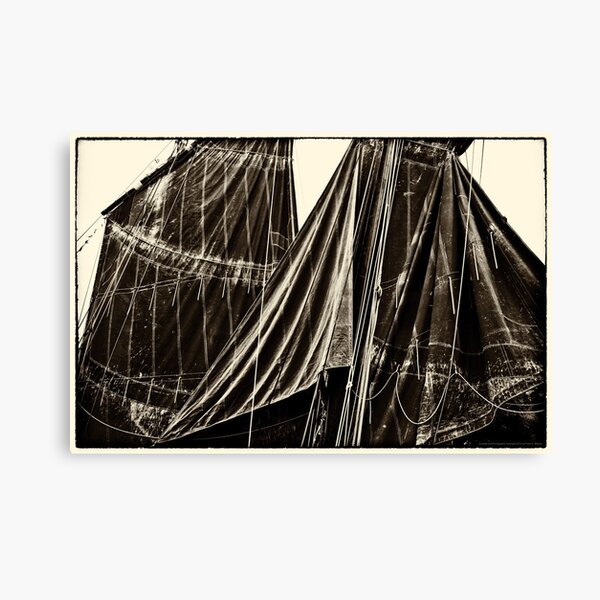 Sails, The Belle Angel 2012 Canvas Print