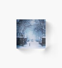 Beautiful Snow Storm in Central Park Acrylic Block