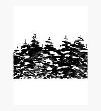 Pines Laden with Snow Photographic Print