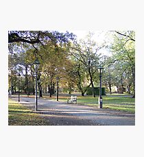 Berlin Park Photographic Print