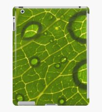 Water Drops on Leaf iPad Case/Skin