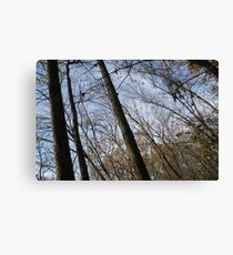 Contortion Canvas Print