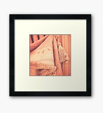Colon Theatre Framed Print