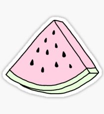 Brandy Melville watermelon Sticker
