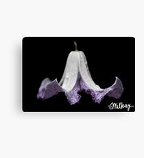 Belle Canvas Print