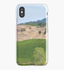 Vineyard Landscape iPhone Case