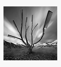 Dandruff Tree Photographic Print