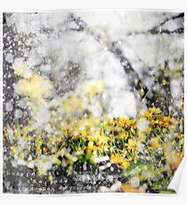 Through the Snow Barefoot Poster