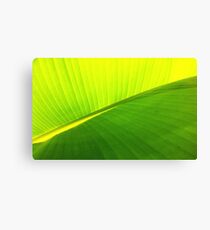 Banana Leaf Leinwanddruck