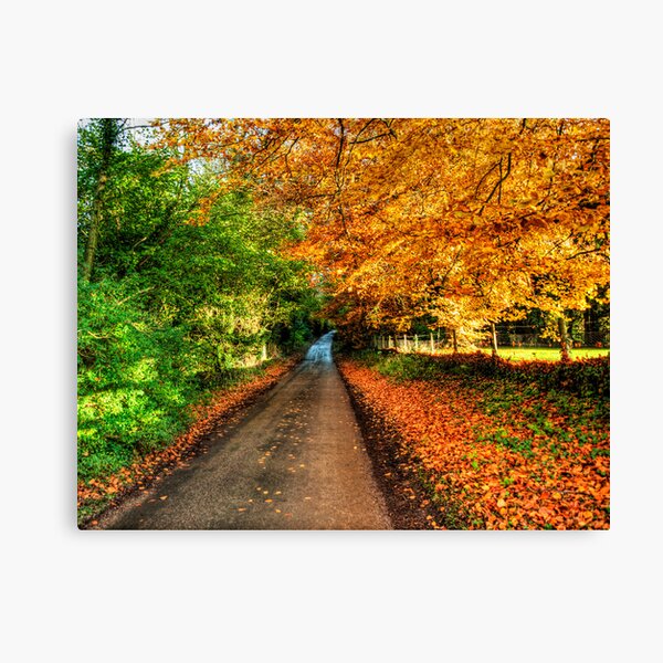 Autumn Road Canvas Print