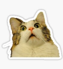 Pegatina gato molesto