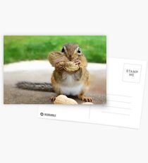 CHIPPY Postcards