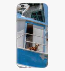 Sea Dogs | iPhone/iPod Case iPhone Case