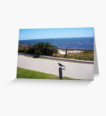 Beach Bird - 16 11 12 Greeting Card