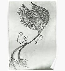 Bird Poster