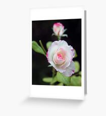 Pink Tint Greeting Card