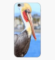 Brown Pelican on Oceanside Pier iPhone Case