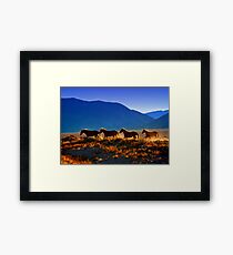 Mustang Trail Framed Print