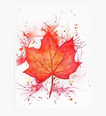 Fall Leaf Photographic Print