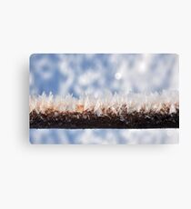 icy Canvas Print
