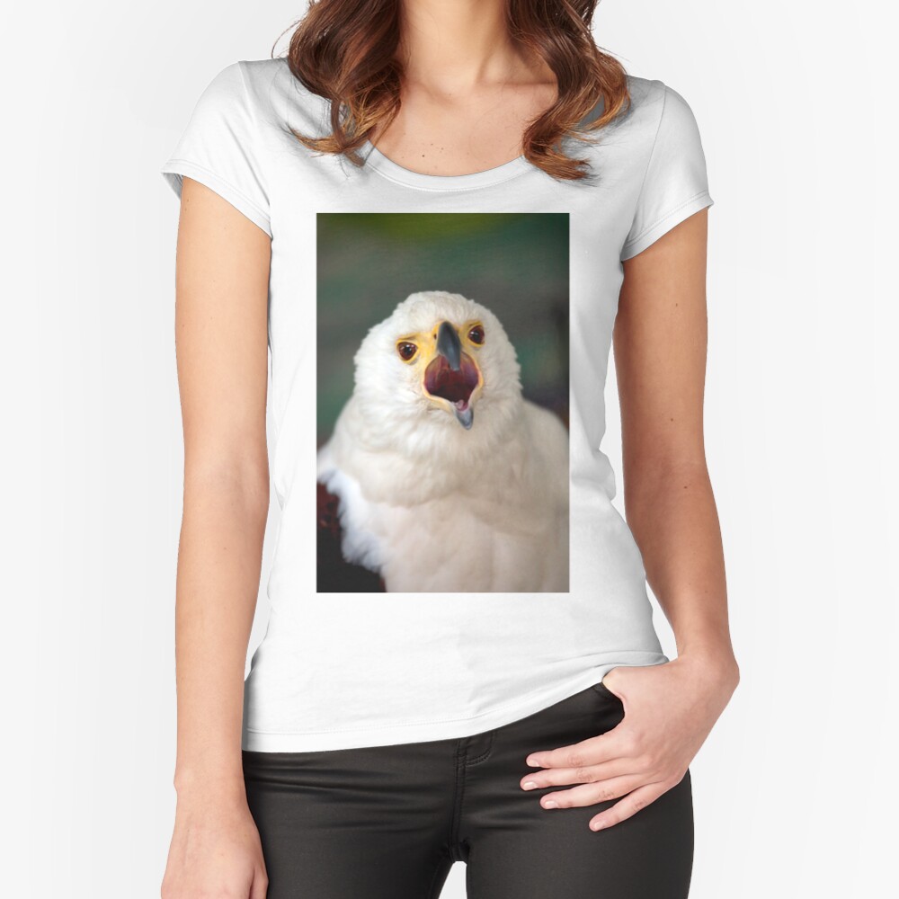African Fish Eagle Fitted Scoop T-Shirt