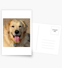 Healey With A Heart of Gold Postcards
