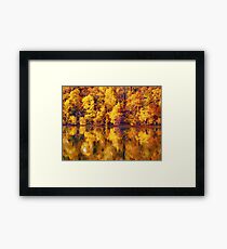 full of yellows Framed Print