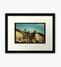 California Framed Print