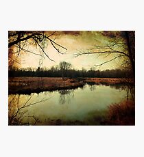 Wetland Photographic Print