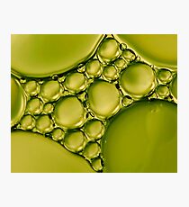 Shades of Green Photographic Print