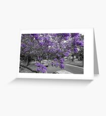 22nd November 2012 Greeting Card