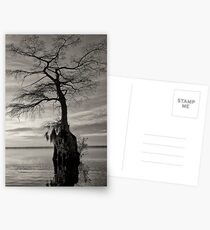 Outreach Postcards