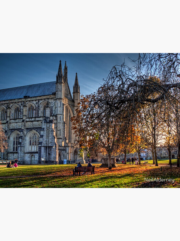Late Autumn in the grounds of Winchester Cathedral by NeilAlderney