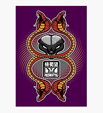 Honey Badger and cobras Photographic Print