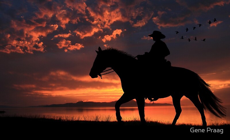 Free Clip Art Paint Horse With Sunset Free Clip Art Paint Horse With Sunset