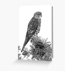 MERLIN (Bird of Prey) Greeting Card
