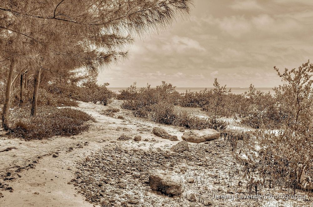 St Andrews Beach At Yamacraw On Eastern Nassau In The Bahamas By Jeremy Lavender Photography