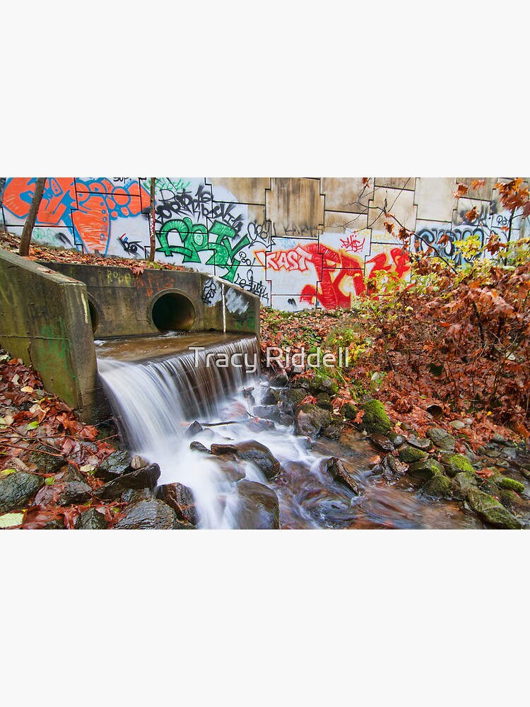 Tattooed Waterfall by taos