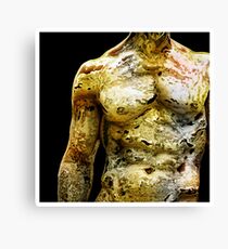 HotStudUS Canvas Print
