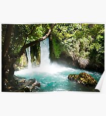 Hermon Stream Nature reserve (Banias) Golan Heights Israel Poster