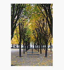 Autum Photographic Print