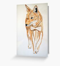 Ethiopian Wolf Greeting Card