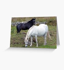 Connemara Pony Mare and Foal Greeting Card