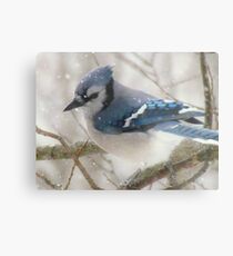 A Blue Gray Day Metal Print
