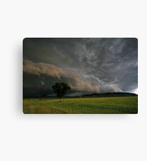 Northern Tablelands Gust Front Canvas Print