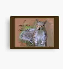 Missing You Squirrel Canvas Print