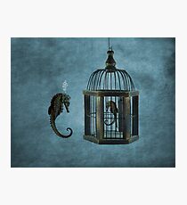 extinction Photographic Print