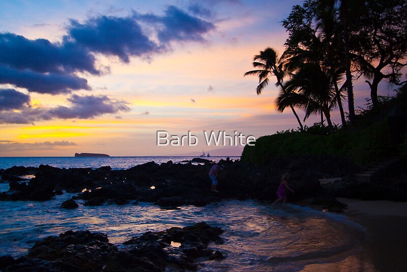 “Sunset at Makena Cove, Maui” by Barb White | Redbubble