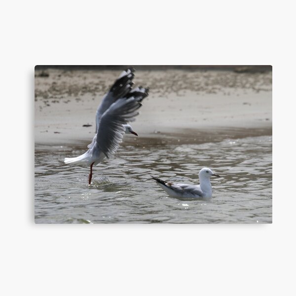 Boo! Metal Print